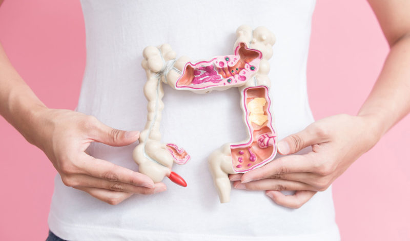 Darmflora: Immunsystem aus dem Bauch heraus Foto Darm