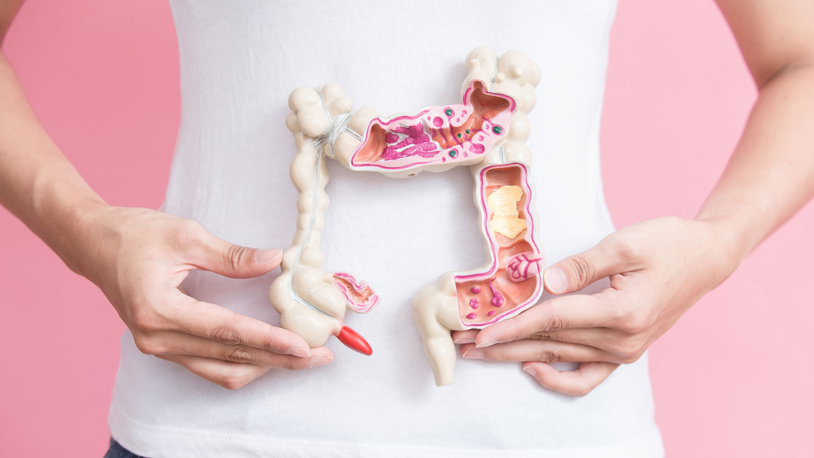 Darmflora: Immunsystem aus dem Bauch heraus Foto Darm