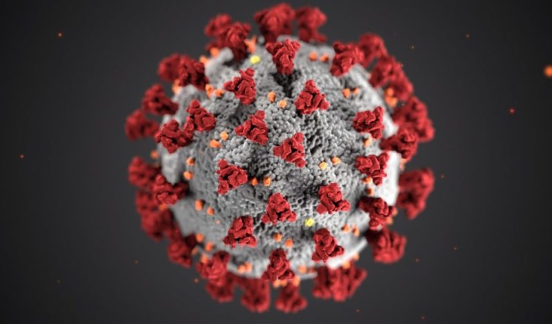 Corona virus