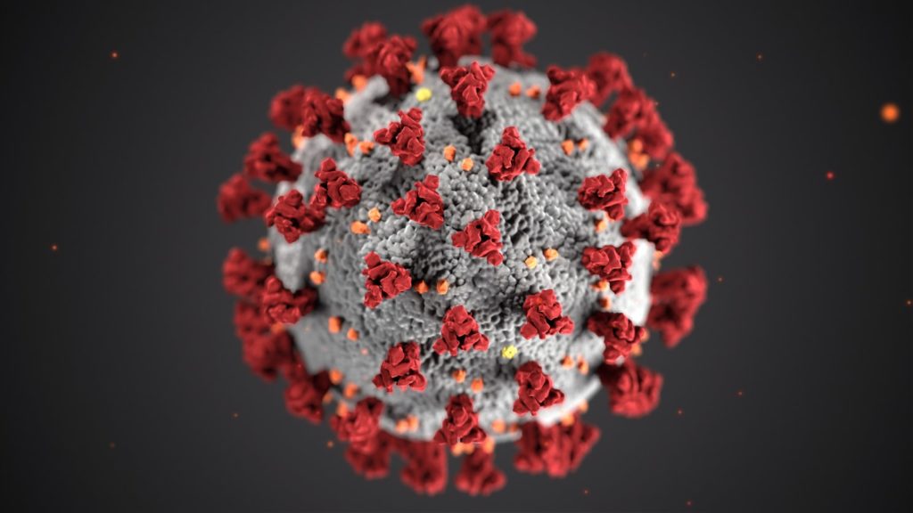 Corona virus