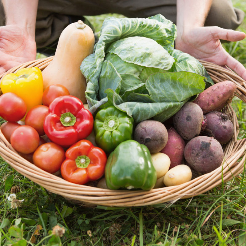 Verdauung anregen Tipp 2 frisches Obst und Gemüse