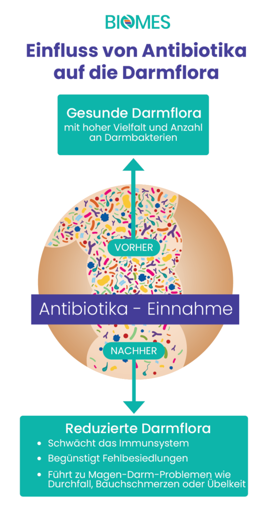 Übersicht: gesunde vielvältige Darmflora und geschädigteDarmflora nach Antibiotika-Einnahme mit Auflistung der Folgen