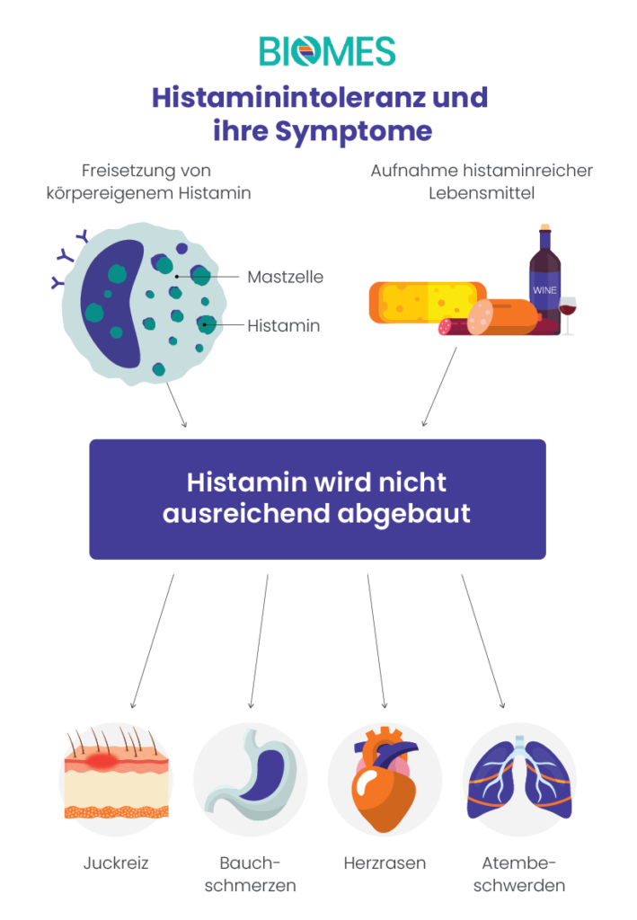 Wird im Körper Histamin nicht richtig abgebaut und viel Histamin im Körper bleibt, kann es allergische Reaktionen auslösen.