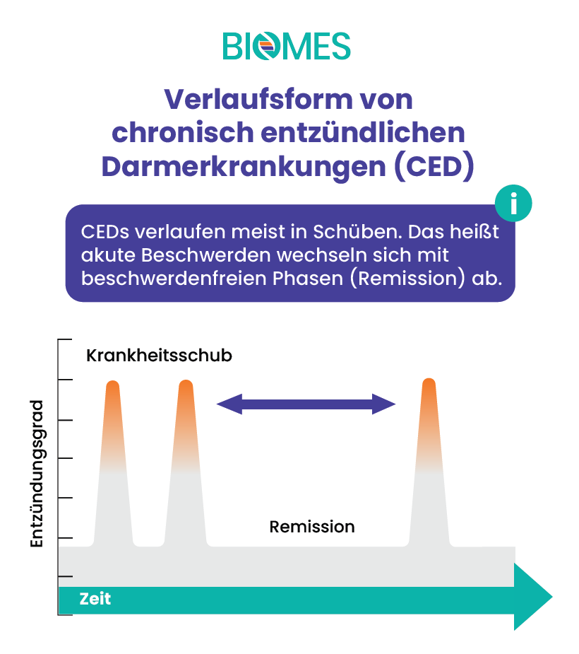 Übersicht schubartige Verlaufsform von chronisch entzündlichen Darmerkrankungen (CED), Morbus Crohn und Colitis Ulcerosa - besteht aus beschwerdefreien Remissionsphase und entzündlichen Krankheitsschüben