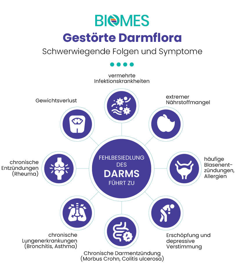 Infografik mit Aufzählung schwerwiegender Folgen und Symptomen einer gestörten Darmflora