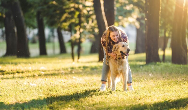Hund mit Besitzerin auf einer Wiese bei Sonnenschein