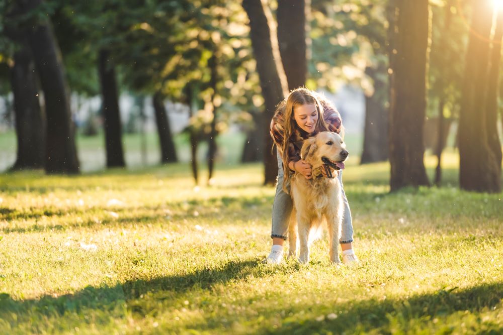 Hund mit Besitzerin auf einer Wiese bei Sonnenschein