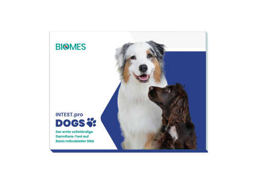 Darmfloraanalyse für den Hund